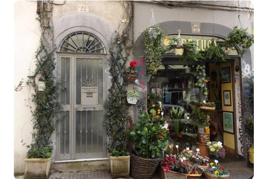 Appartamento Guide Tour Napoli